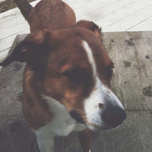 Meet your Posher, Reece